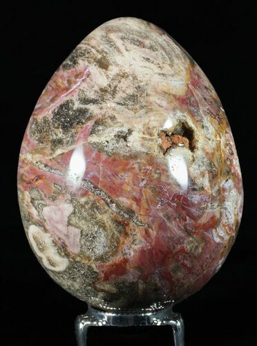 Colorful, Polished Petrified Wood Egg - Triassic #58517